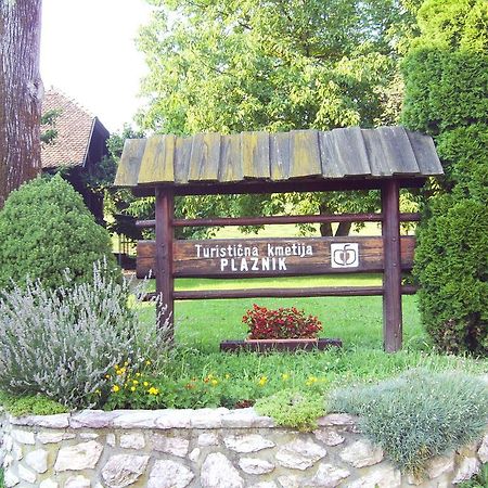 Guest House Turisticna Kmetija Plaznik Ljubno Exterior foto