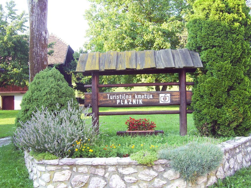 Guest House Turisticna Kmetija Plaznik Ljubno Exterior foto